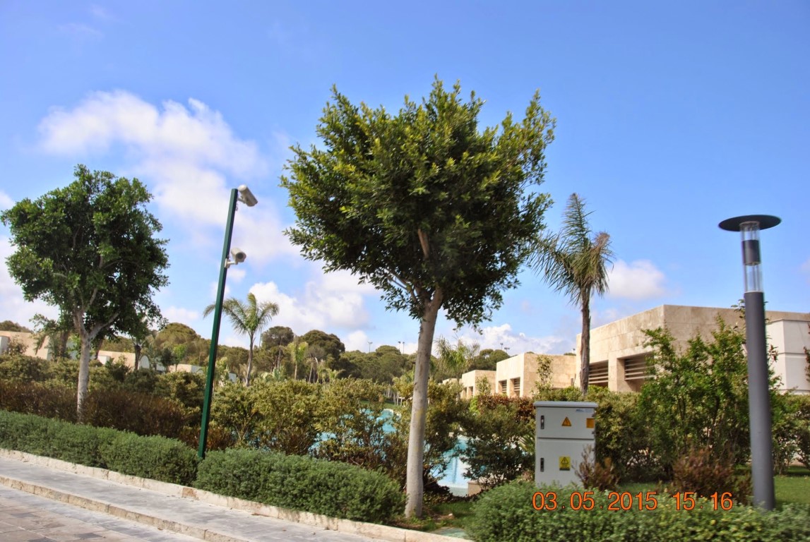 imagini hotel REGNUM CARYA BELEK